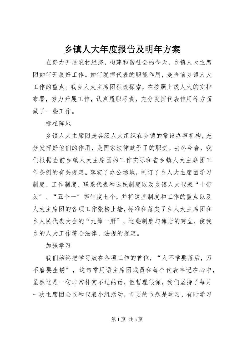 2023年乡镇人大年度报告及明年计划.docx_第1页