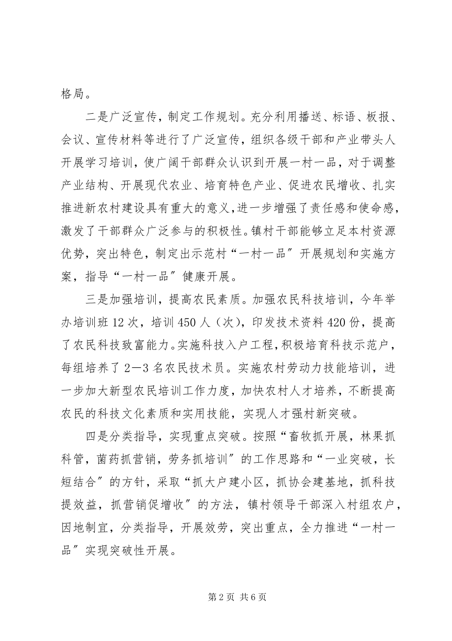 2023年乡镇寺坪村产业发展调研报告.docx_第2页