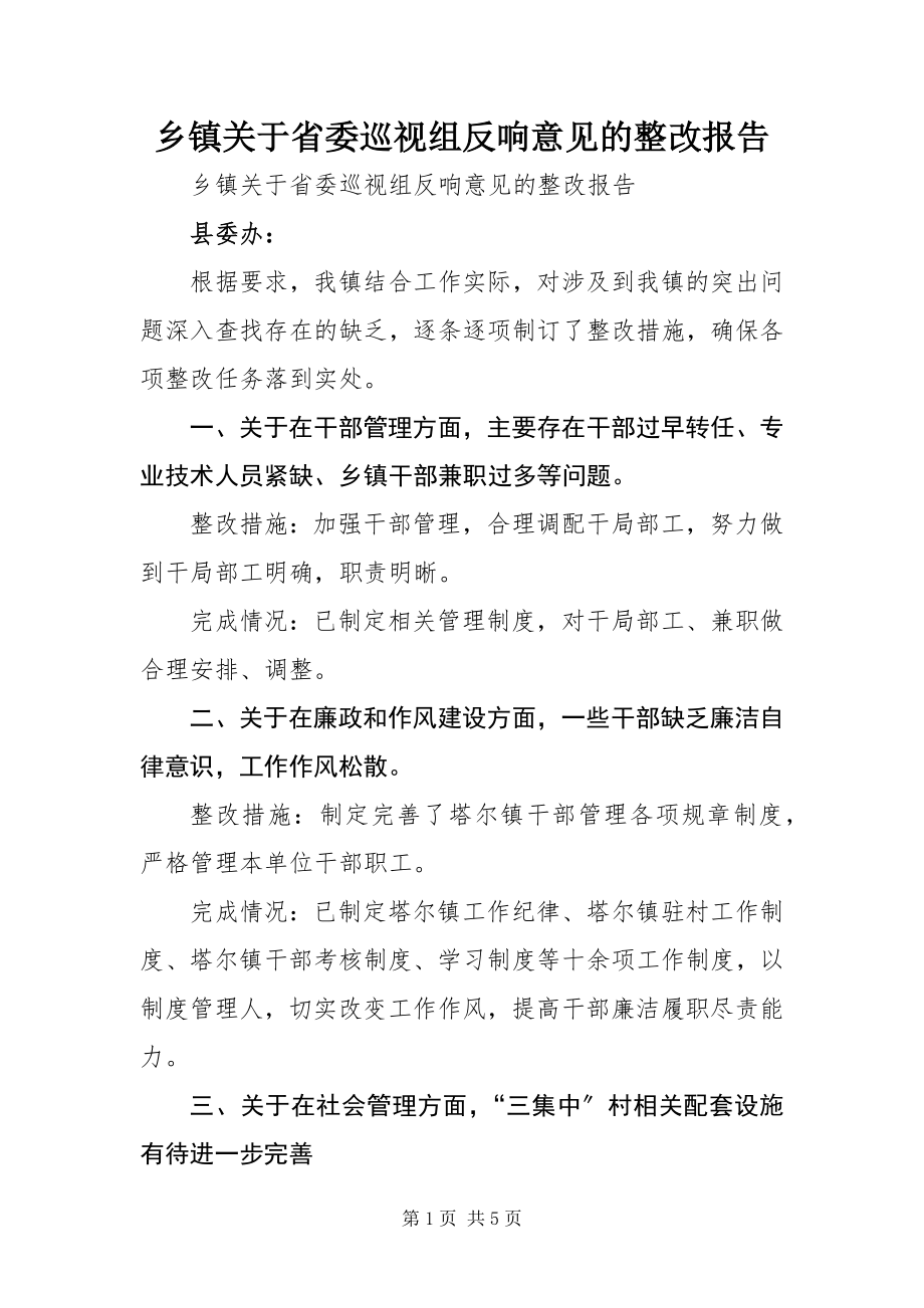 2023年乡镇关于省委巡视组反馈意见的整改报告.docx_第1页