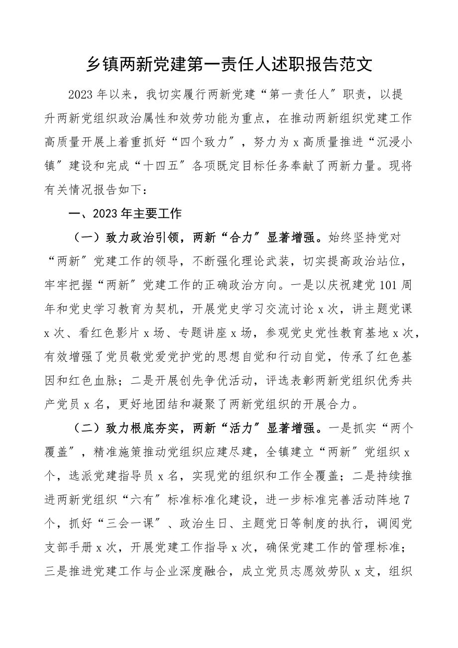 2023年乡镇两新党建第一责任人述职报告工作汇报总结.docx_第1页