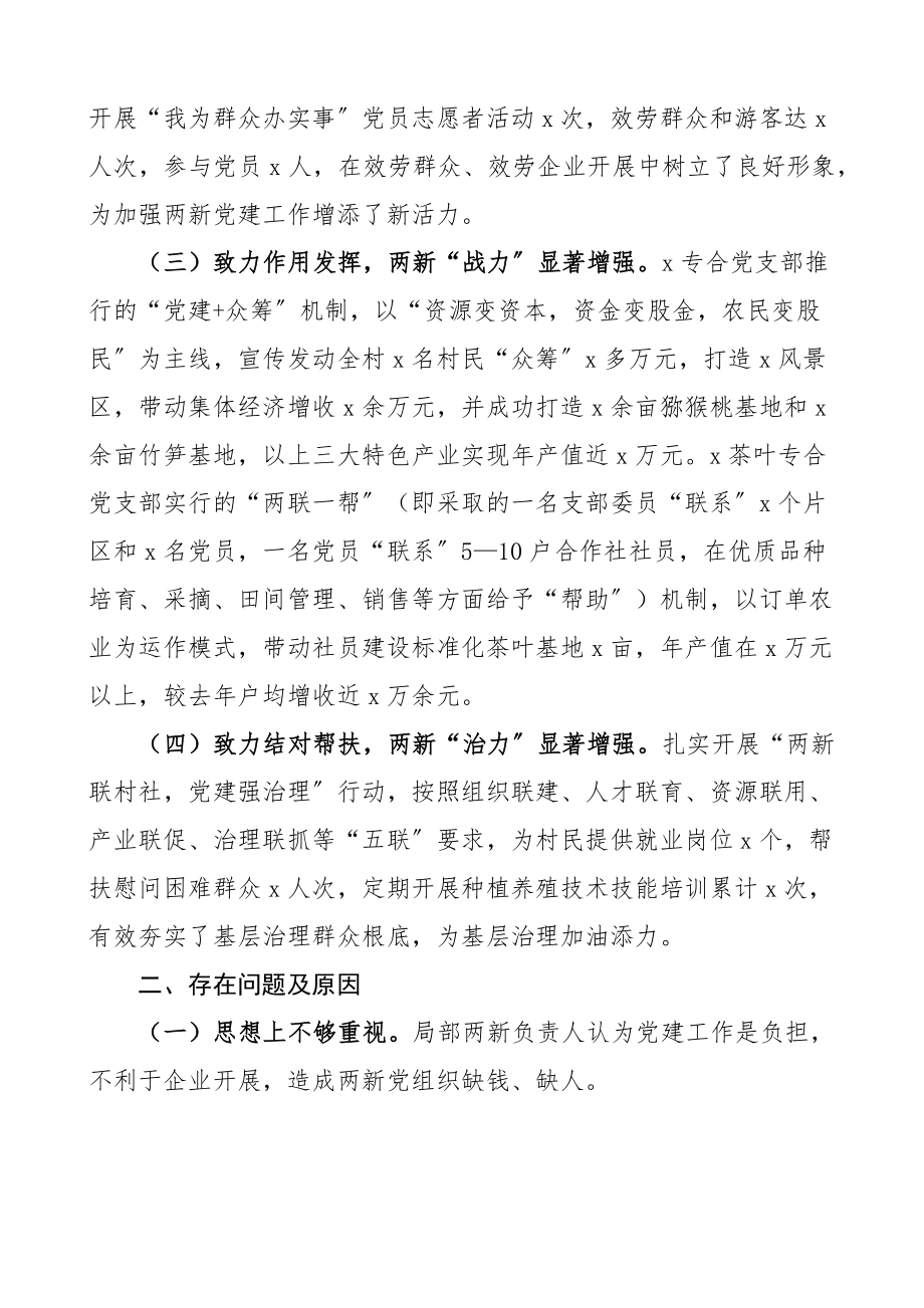 2023年乡镇两新党建第一责任人述职报告工作汇报总结.docx_第2页