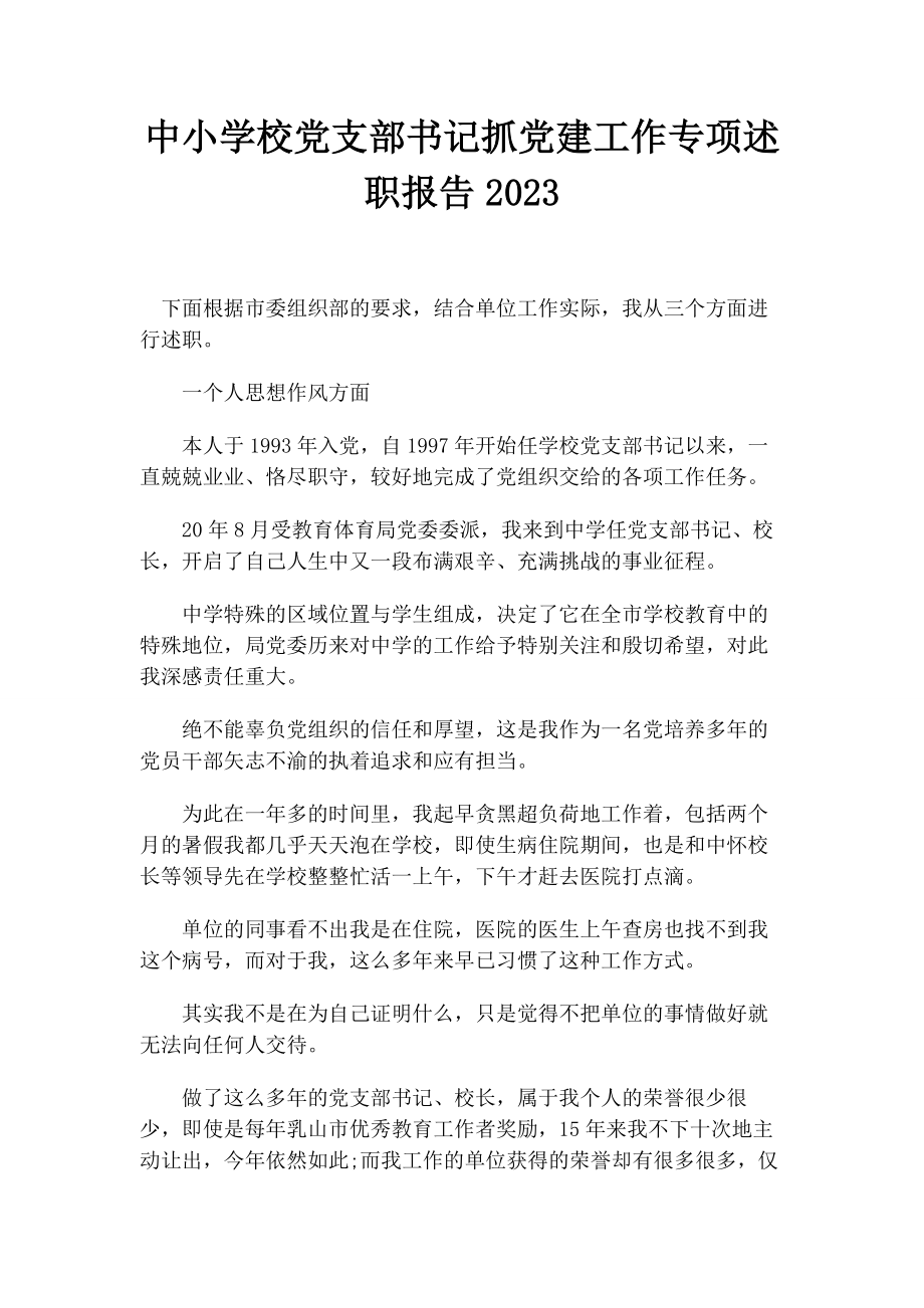 2023年中小学校党支部书记抓党建工作专项述职报告2.docx_第1页