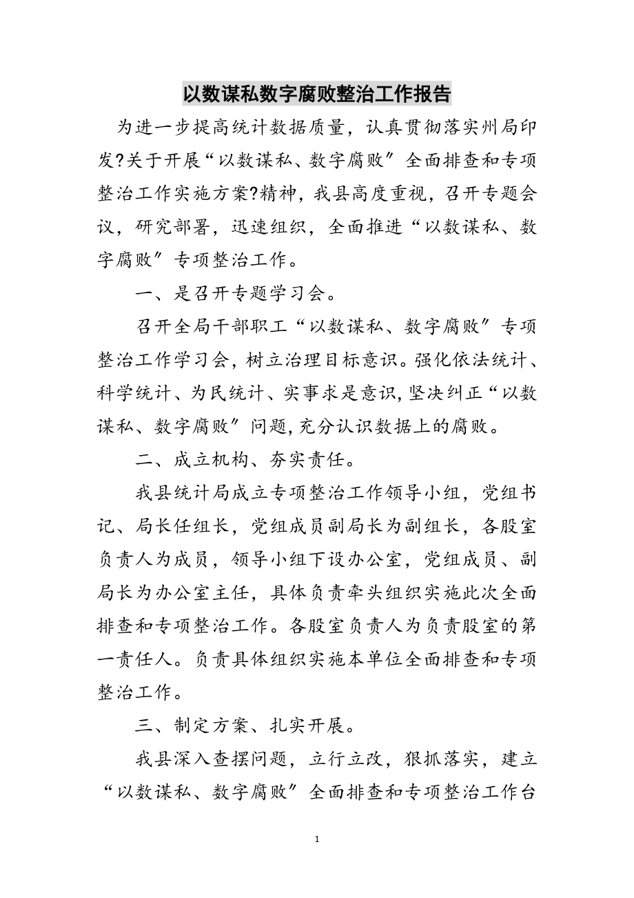 2023年以数谋私数字腐败整治工作报告范文.doc_第1页