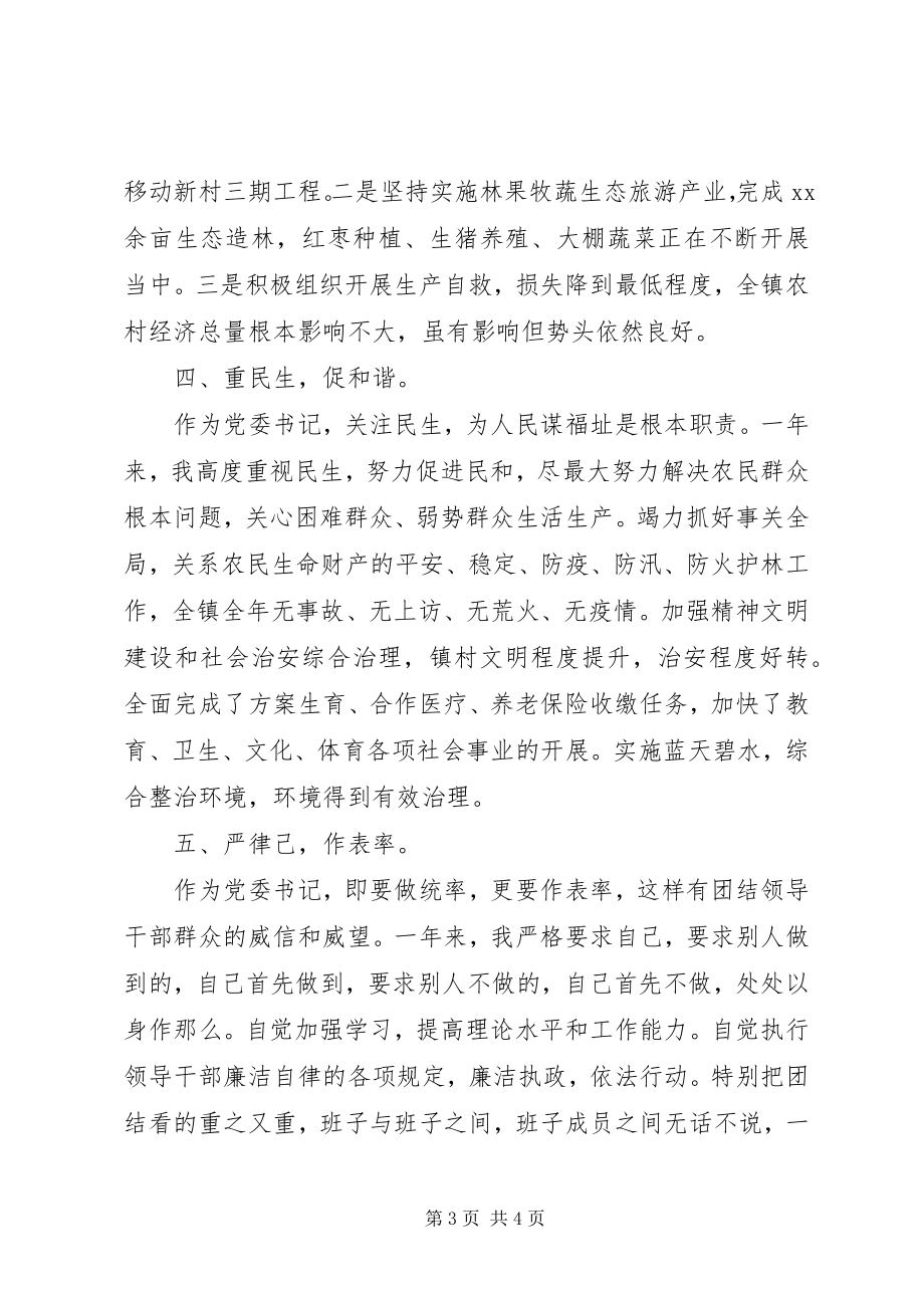 2023年乡镇党委书记个人述职述廉报告3.docx_第3页