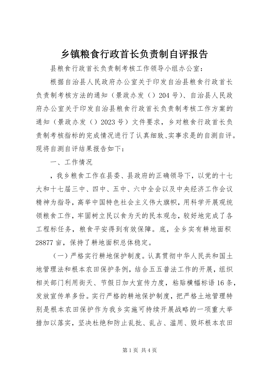 2023年乡镇粮食行政首长负责制自评报告.docx_第1页