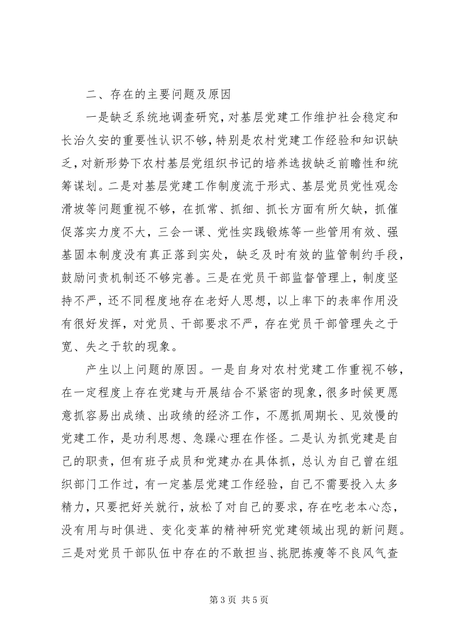 2023年乡党委书记履职抓基层党建工作述职报告（3篇）.docx_第3页