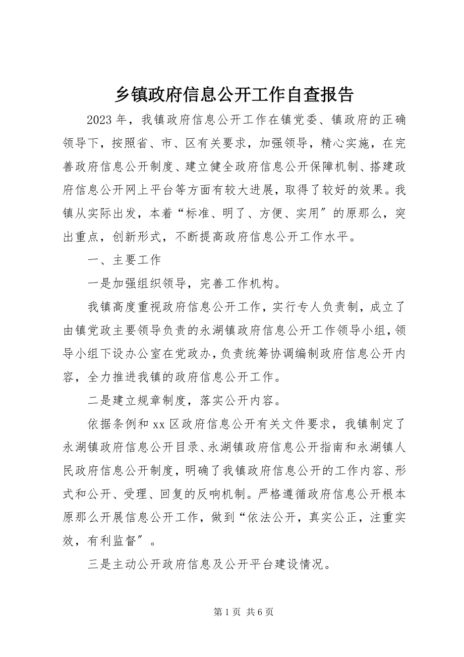 2023年乡镇政府信息公开工作自查报告.docx_第1页