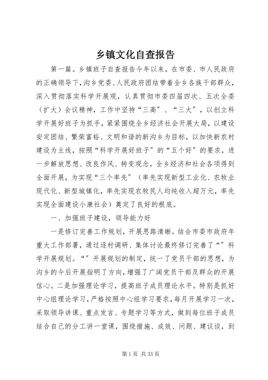 2023年乡镇文化自查报告.docx_第1页