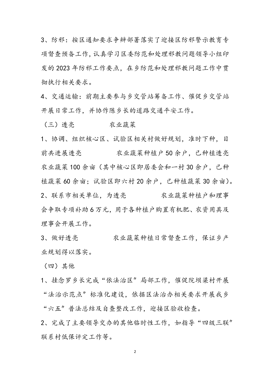 2023年乡党委副书记个人述职报告.docx_第2页