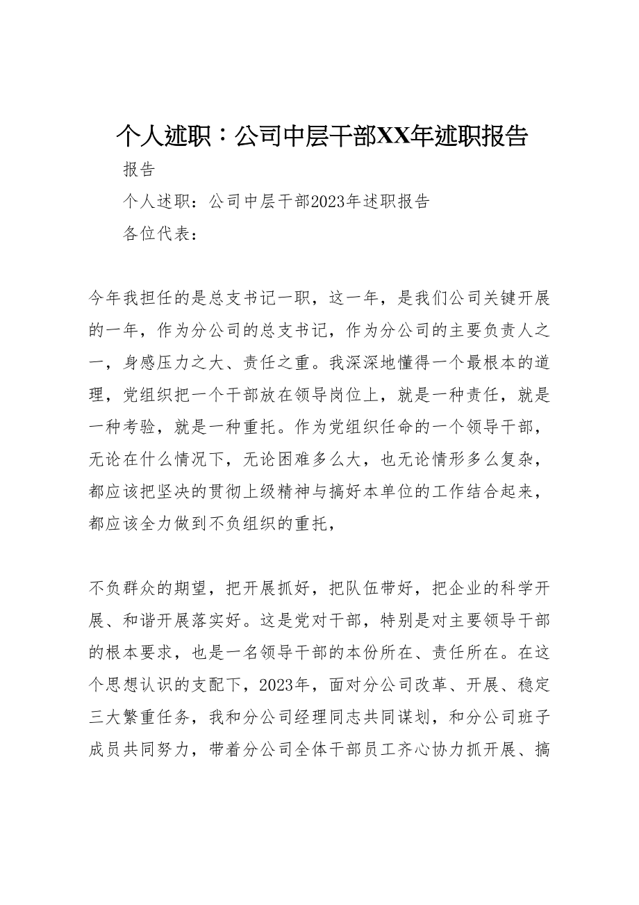 2023年个人述职公司中层干部某年述职报告新编.doc_第1页