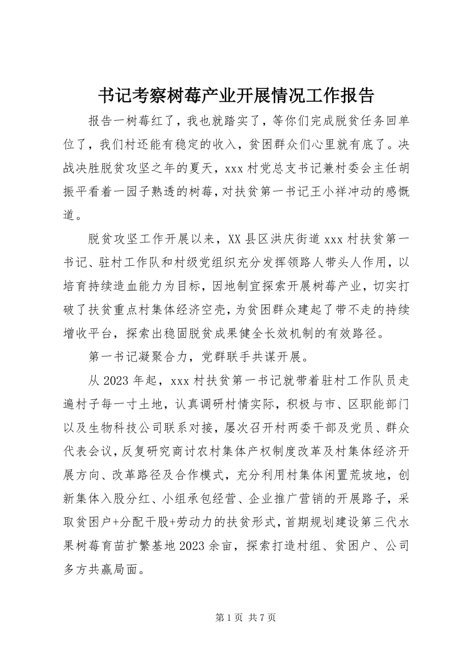 2023年书记考察树莓产业发展情况工作报告.docx_第1页