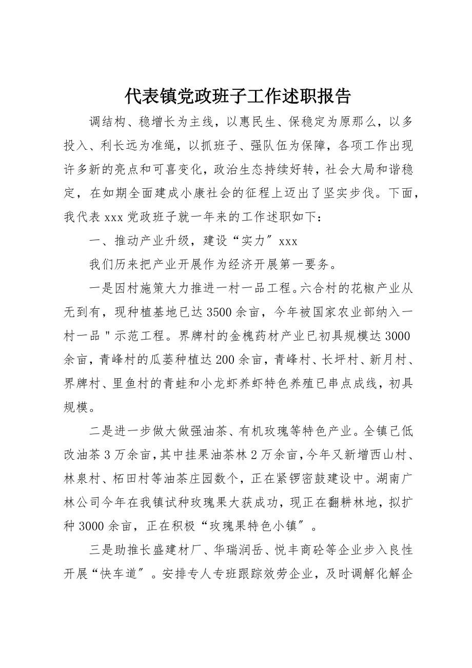 2023年代表镇党政班子工作述职报告.docx_第1页