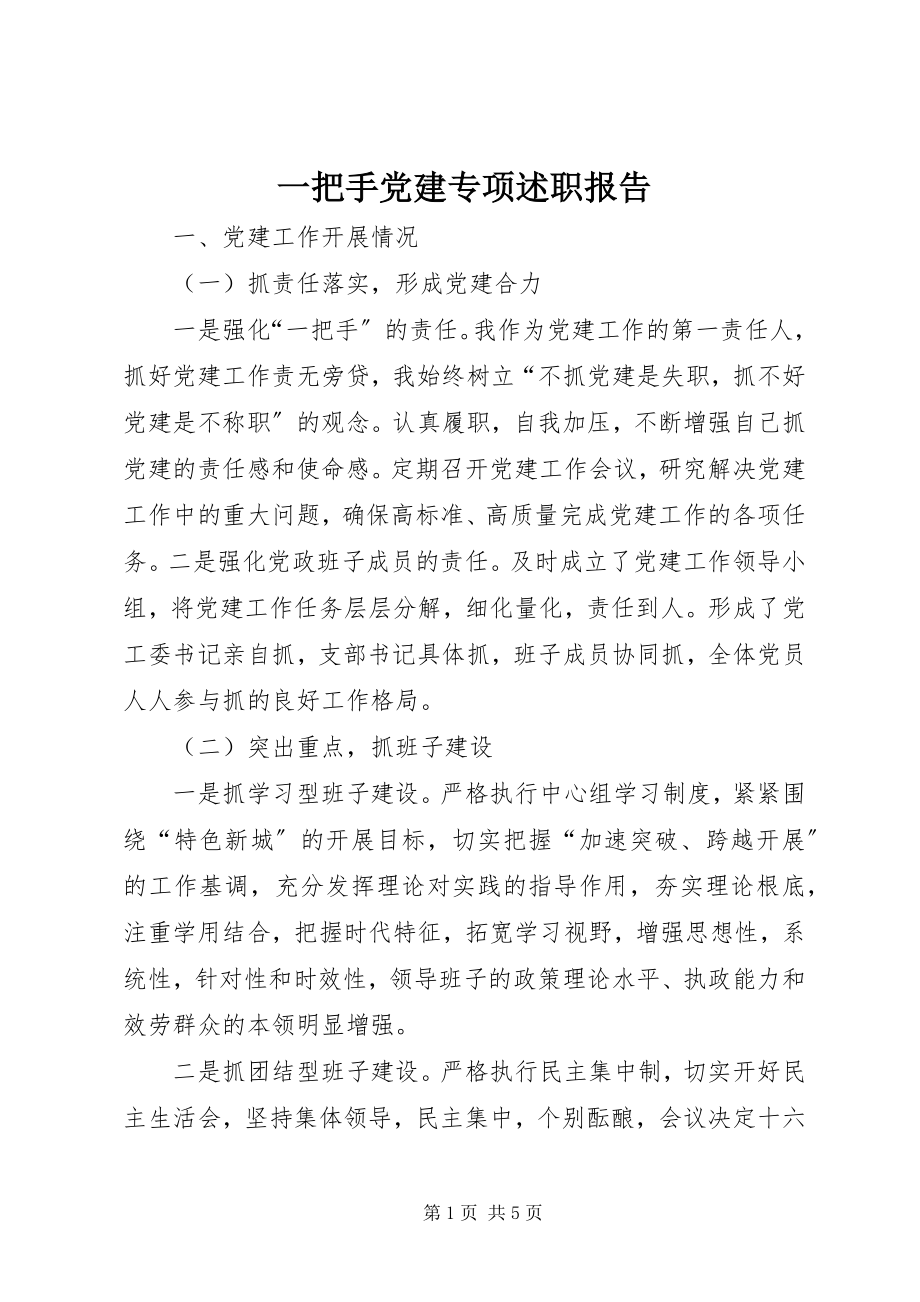 2023年一把手党建专项述职报告.docx_第1页