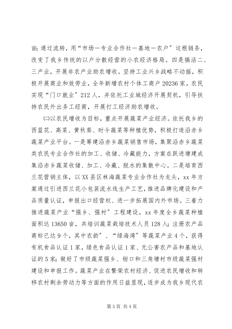 2023年乡长述职述廉报告2.docx_第3页