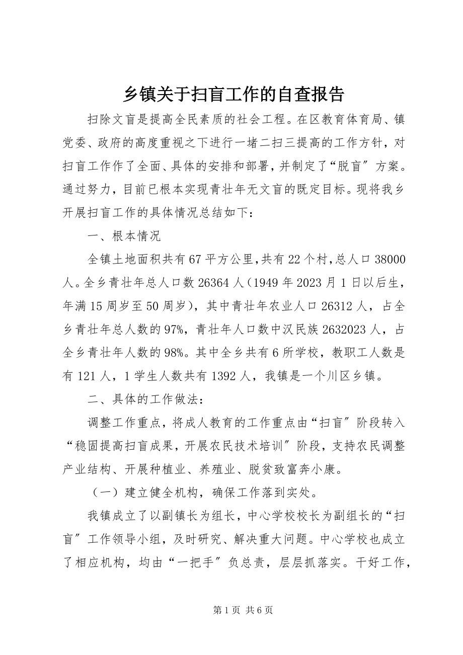 2023年乡镇关于扫盲工作的自查报告.docx_第1页