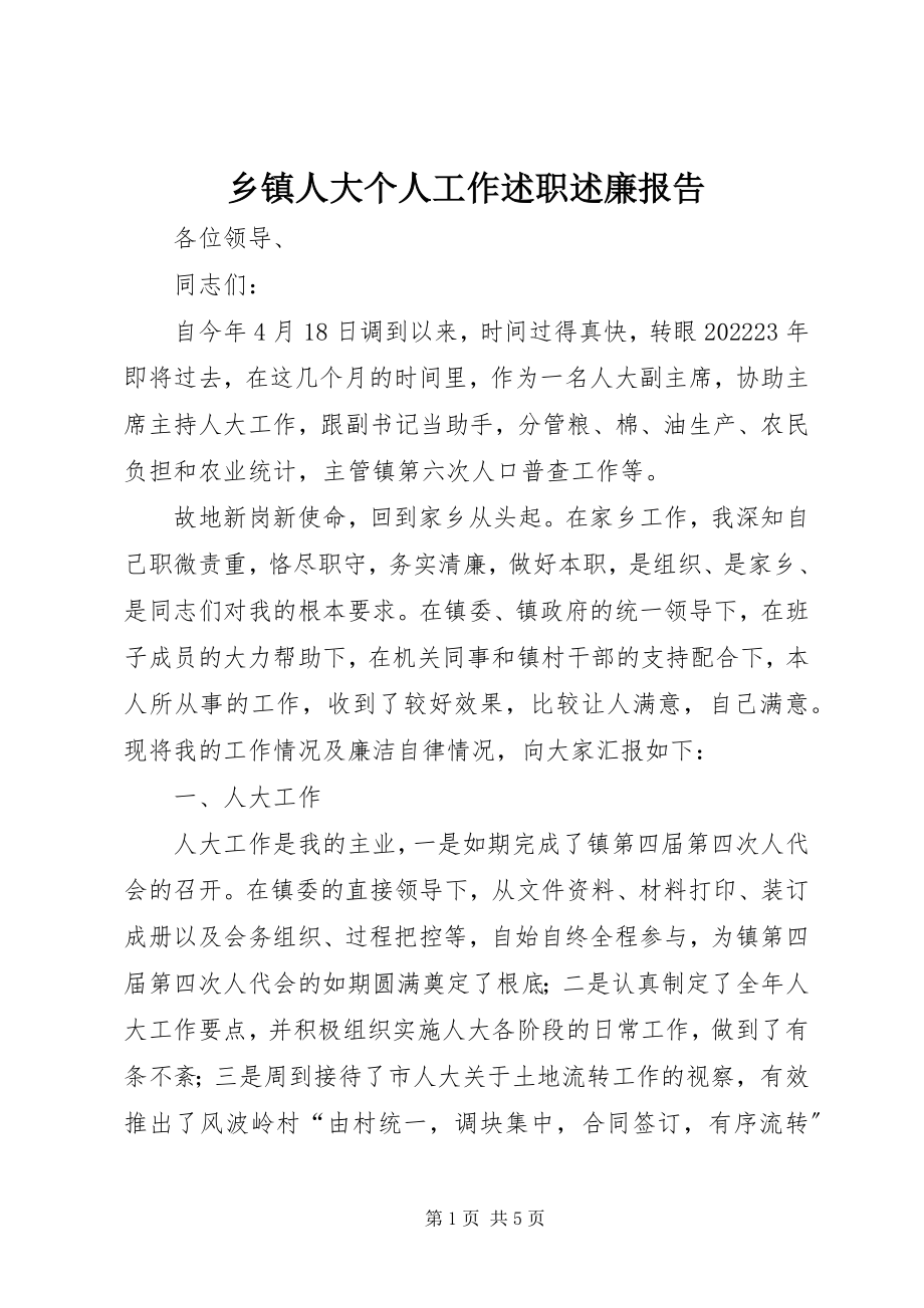 2023年乡镇人大个人工作述职述廉报告.docx_第1页