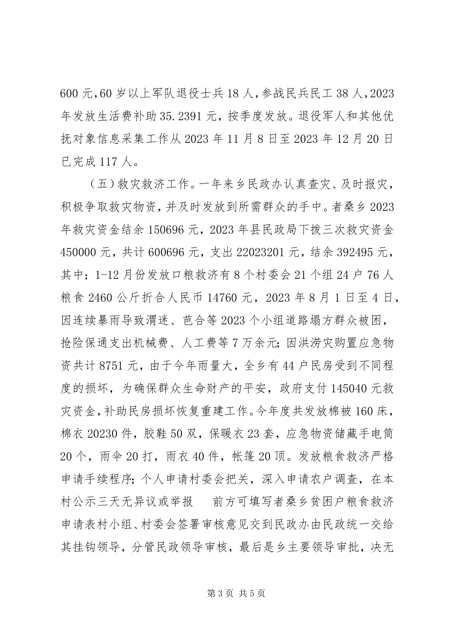 2023年乡民政办工作述职报告.docx_第3页