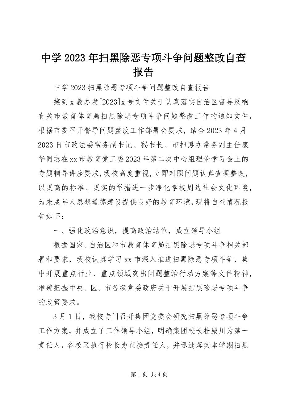 2023年中学扫黑除恶专项斗争问题整改自查报告.docx_第1页