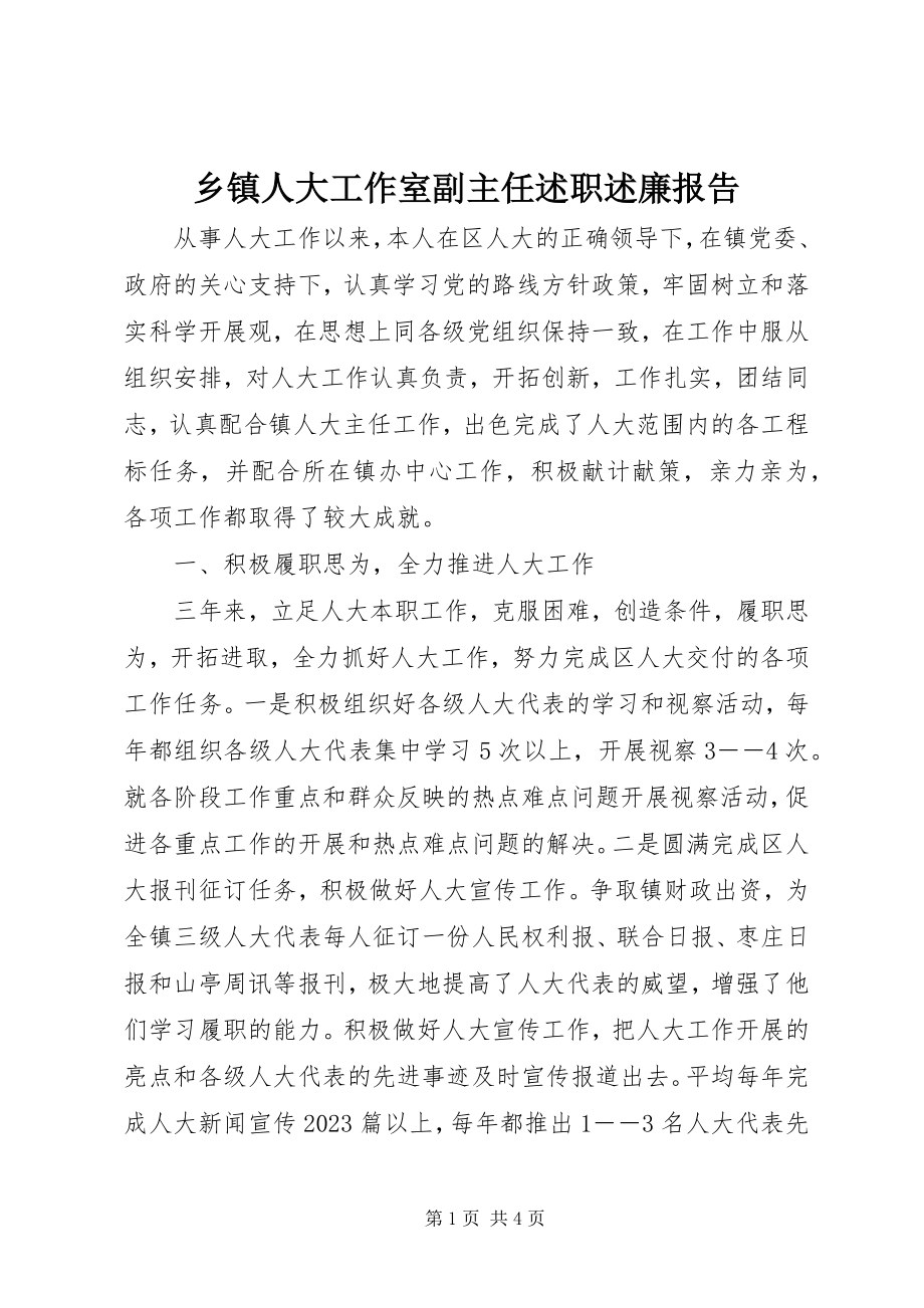 2023年乡镇人大工作室副主任述职述廉报告.docx_第1页