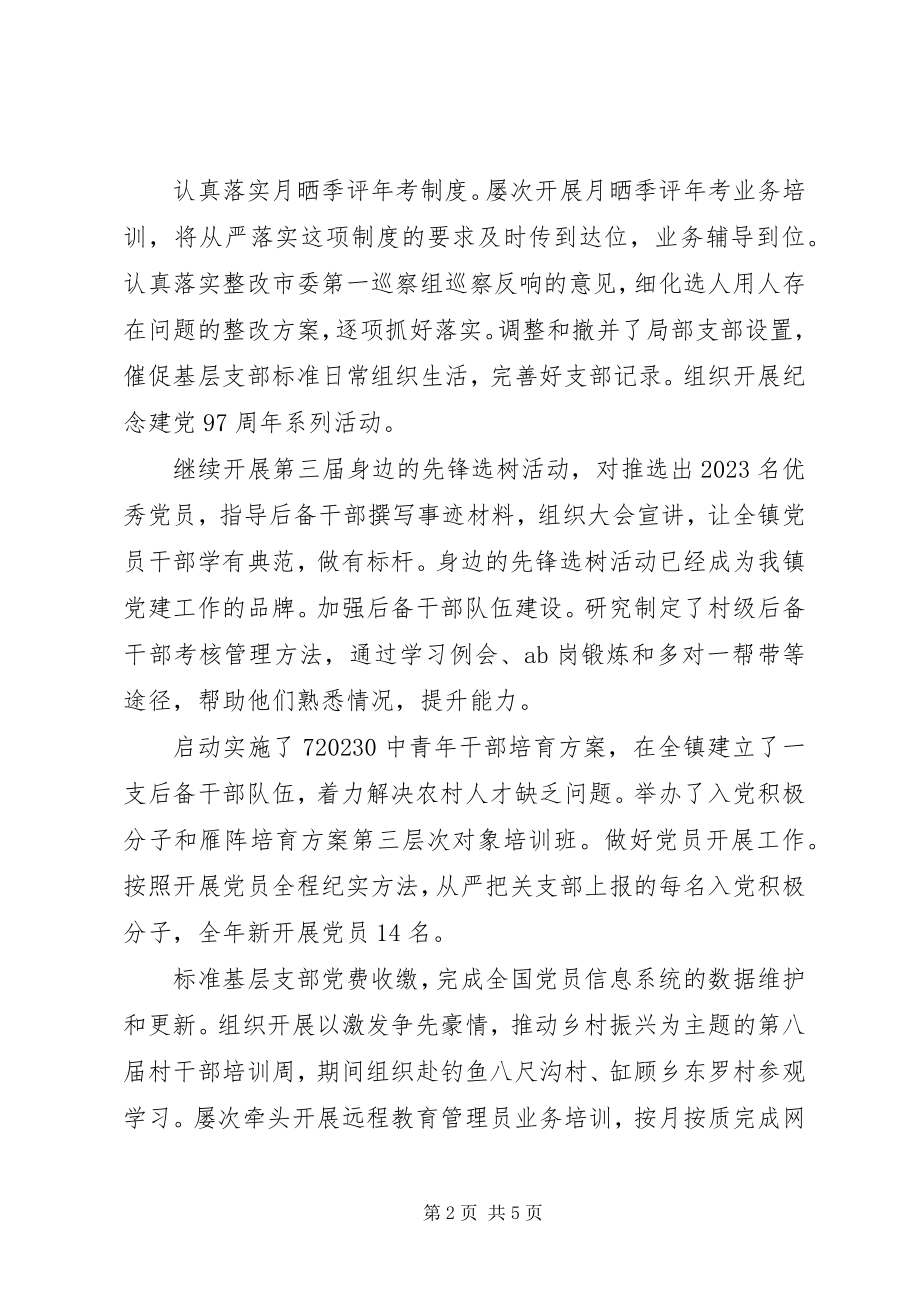 2023年乡镇组织委员个人总结与述职报告.docx_第2页