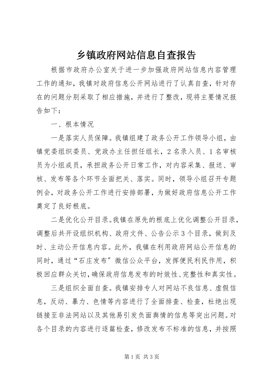 2023年乡镇政府网站信息自查报告.docx_第1页