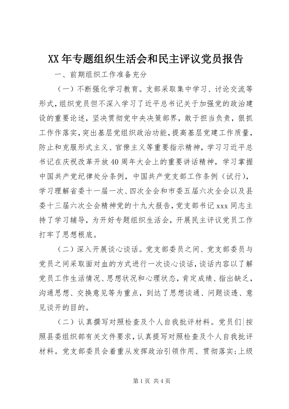 2023年专题组织生活会和民主评议党员报告2.docx_第1页