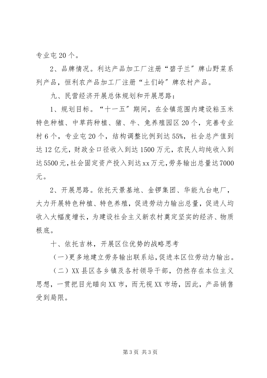 2023年乡镇经济发展战略的调研报告.docx_第3页