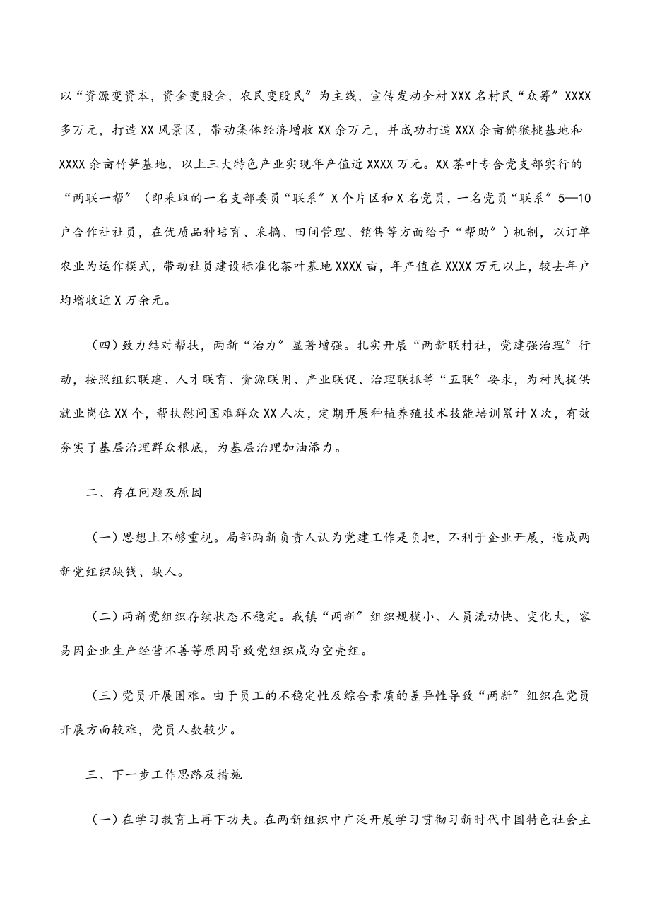 2023年乡镇两新党建第一责任人述职报告.docx_第2页