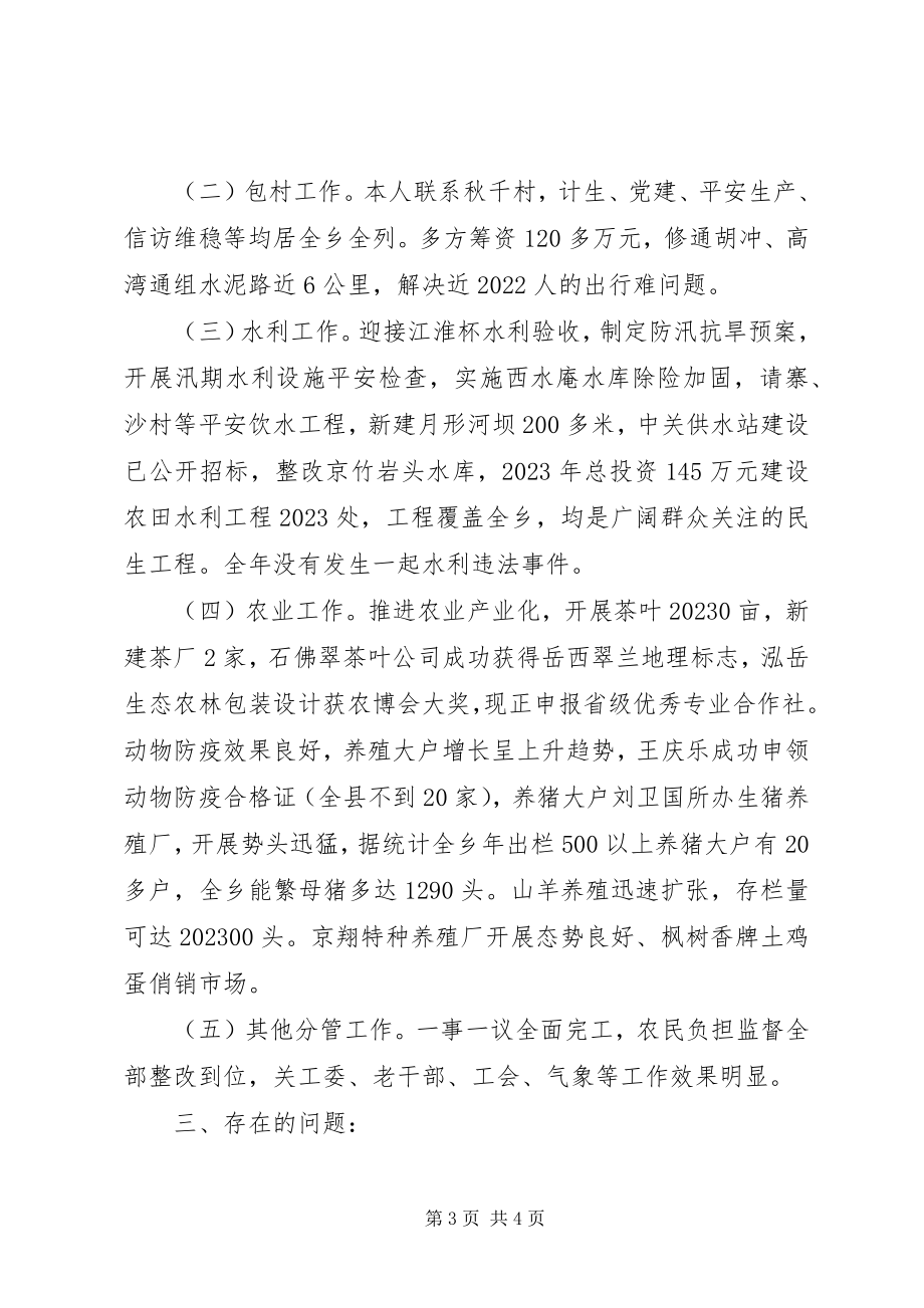 2023年乡副乡长个人述职报告.docx_第3页