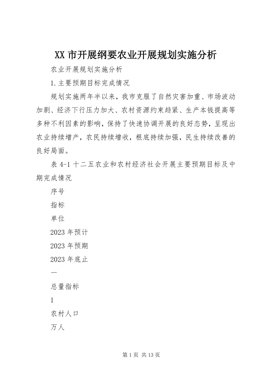 2023年XX市发展纲要农业发展规划实施分析.docx_第1页