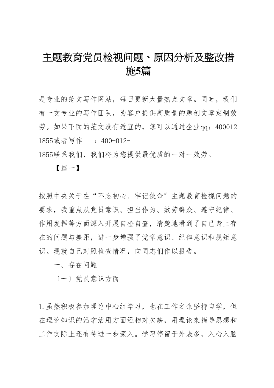 2023年主题教育党员检视问题原因分析及整改措施5篇.doc_第1页