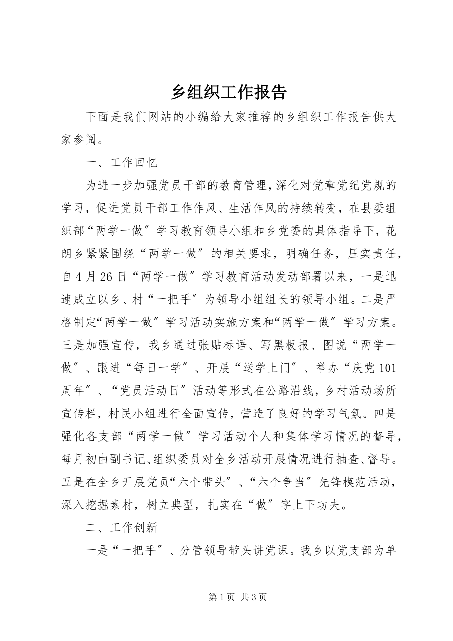 2023年乡组织工作报告.docx_第1页