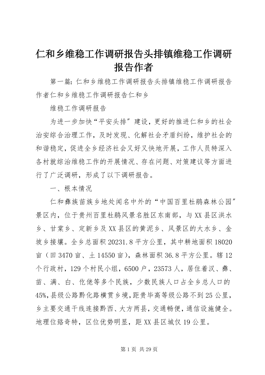 2023年仁和乡维稳工作调研报告头排镇维稳工作调研报告作者.docx_第1页