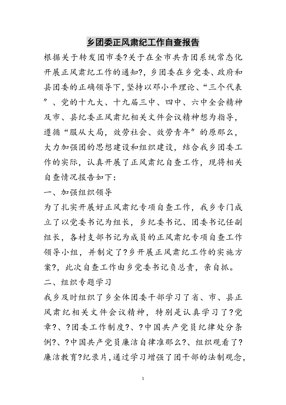 2023年乡团委正风肃纪工作自查报告范文.doc_第1页