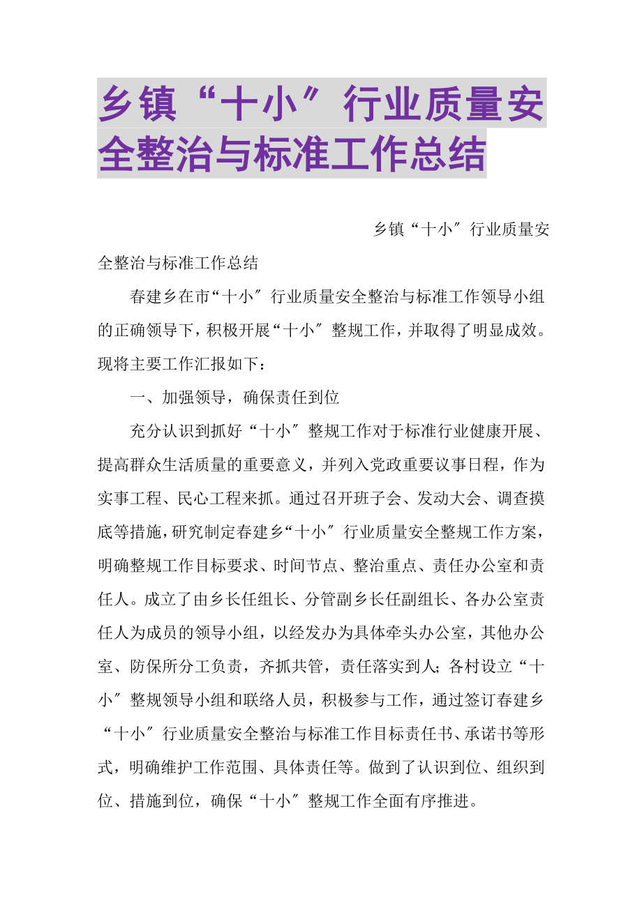 2023年乡镇十小行业质量安全整治与规范工作总结.doc_第1页