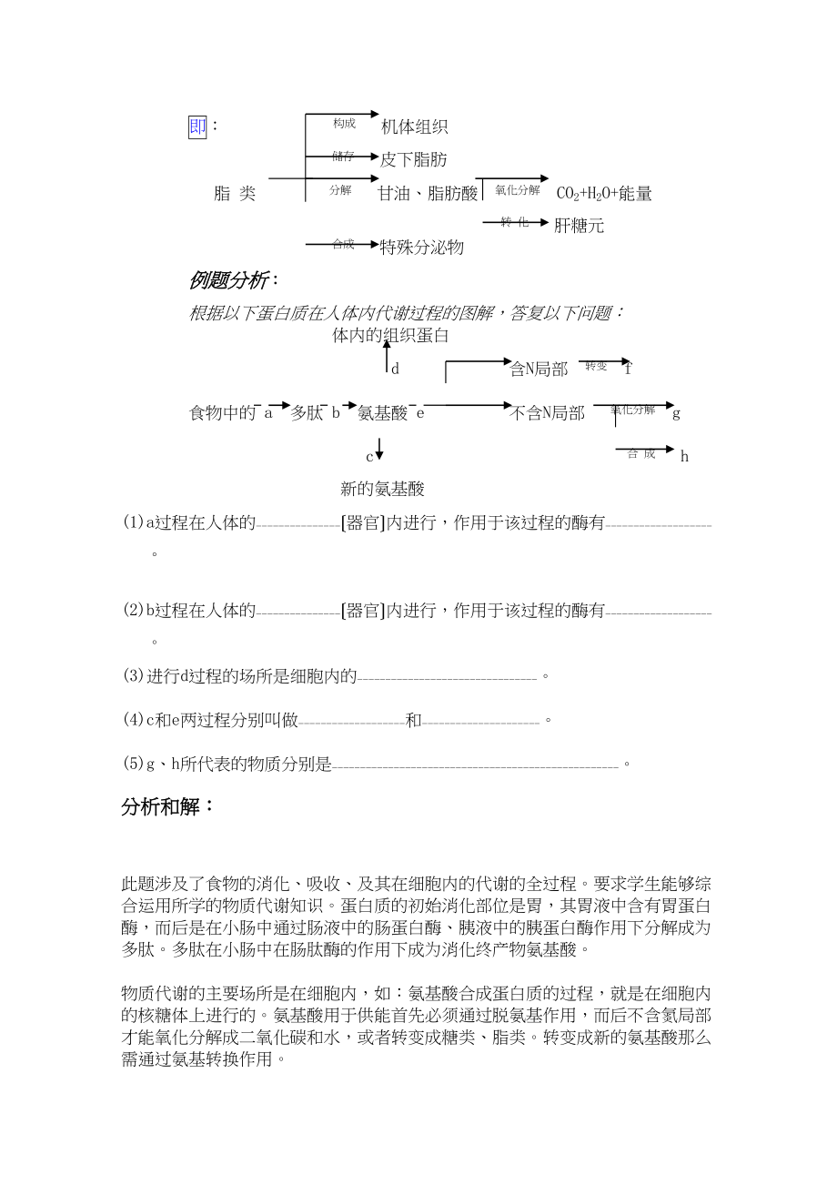 2023年高三生物一轮复习教案19物质在细胞内的代谢新人教版.docx_第3页