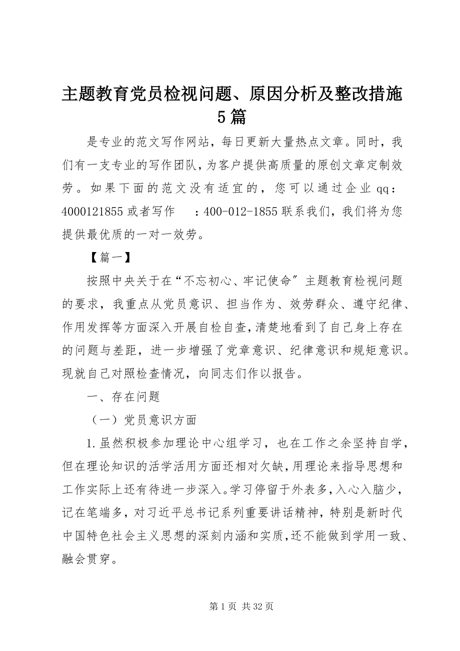 2023年主题教育党员检视问题原因分析及整改措施5篇.docx_第1页