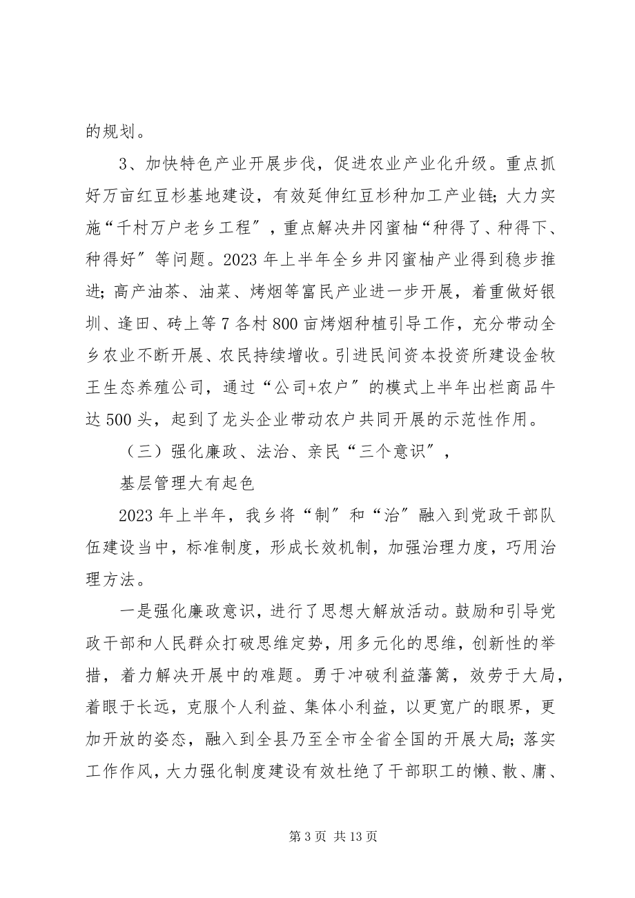 2023年乡度上半年工作总结报告2.docx_第3页