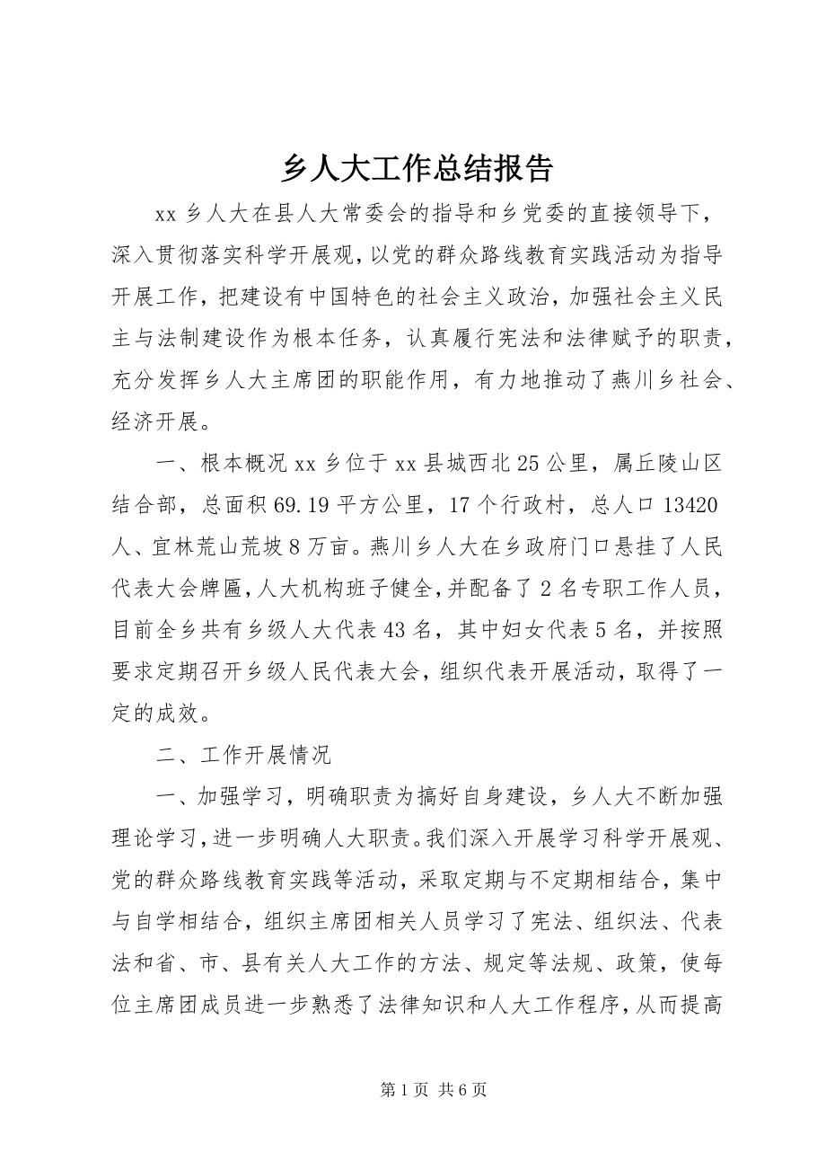 2023年乡人大工作总结报告.docx_第1页