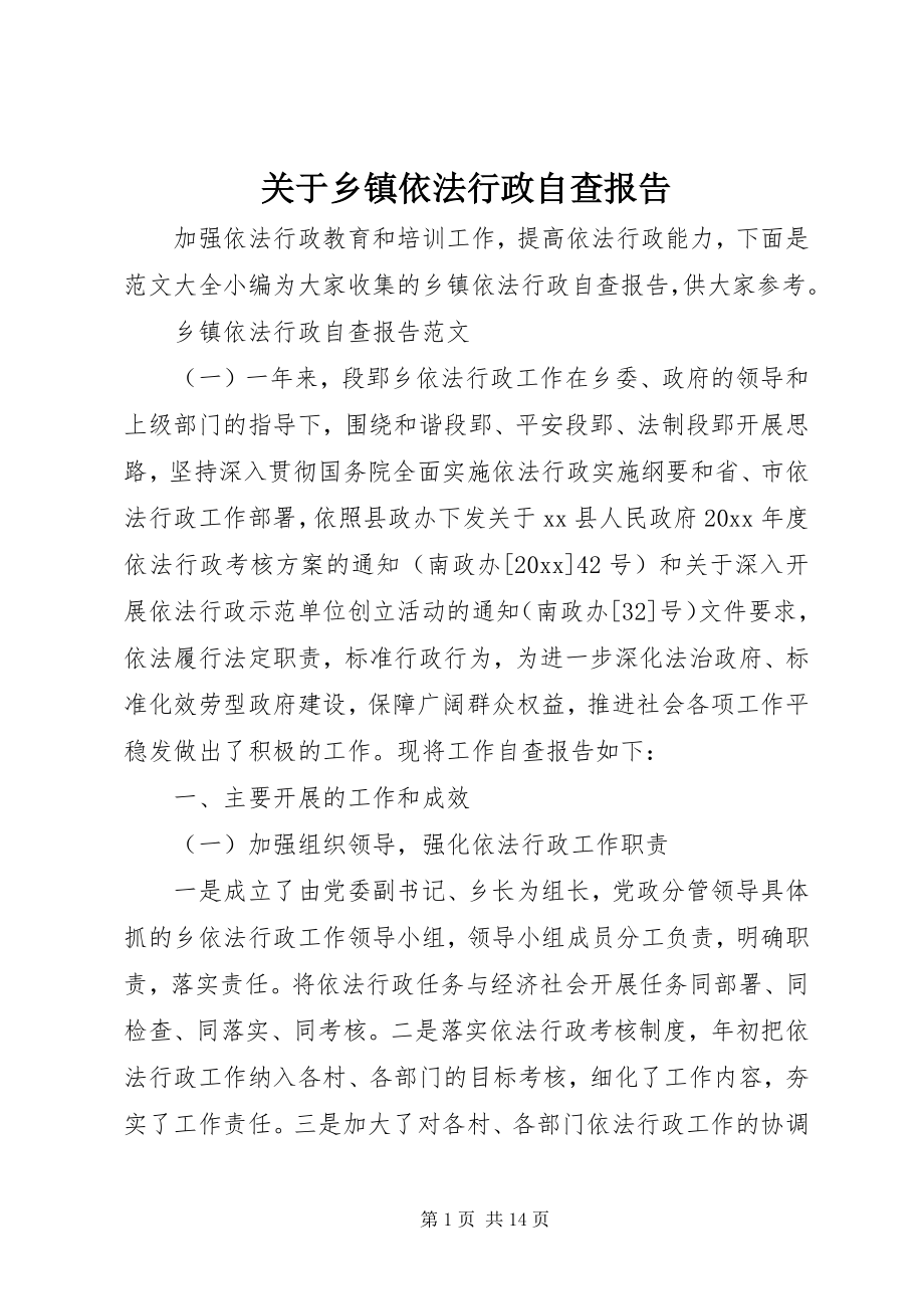 2023年乡镇依法行政自查报告.docx_第1页