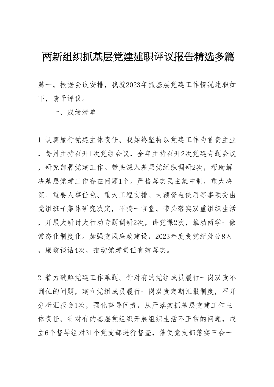 2023年两新组织抓基层党建述职评议报告精选多篇.doc_第1页