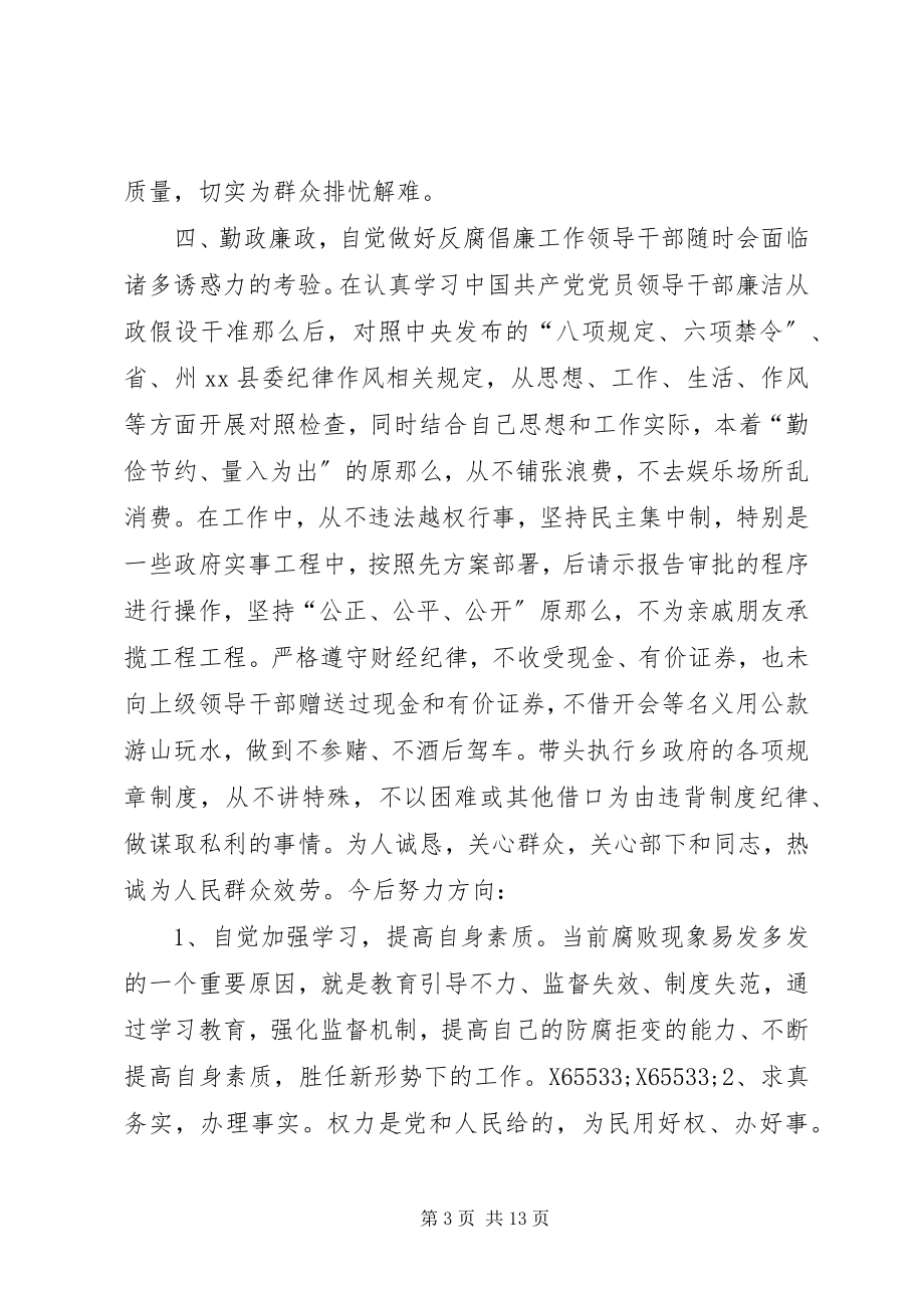 2023年乡党委委员人大主席述职述廉报告.docx_第3页