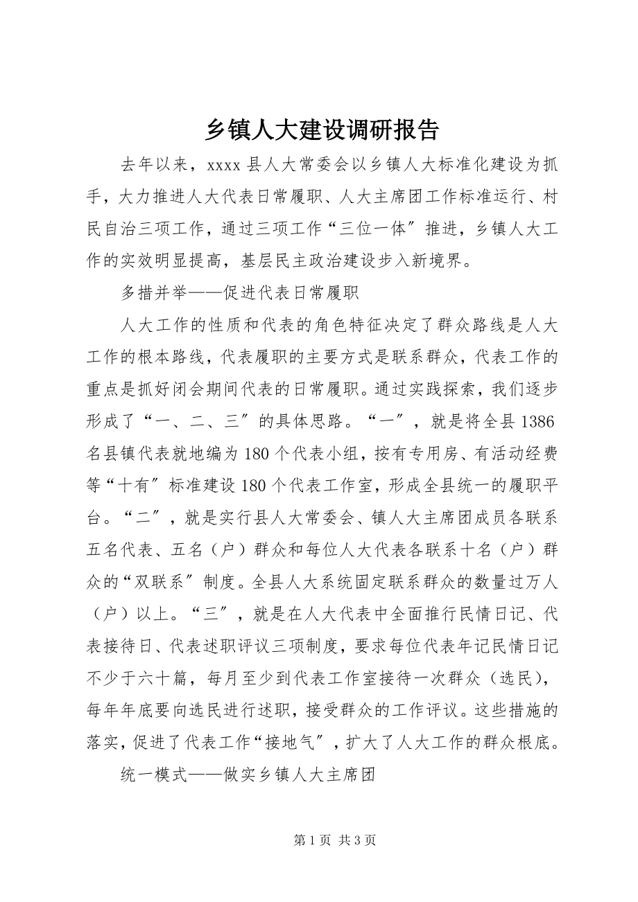 2023年乡镇人大建设调研报告.docx_第1页