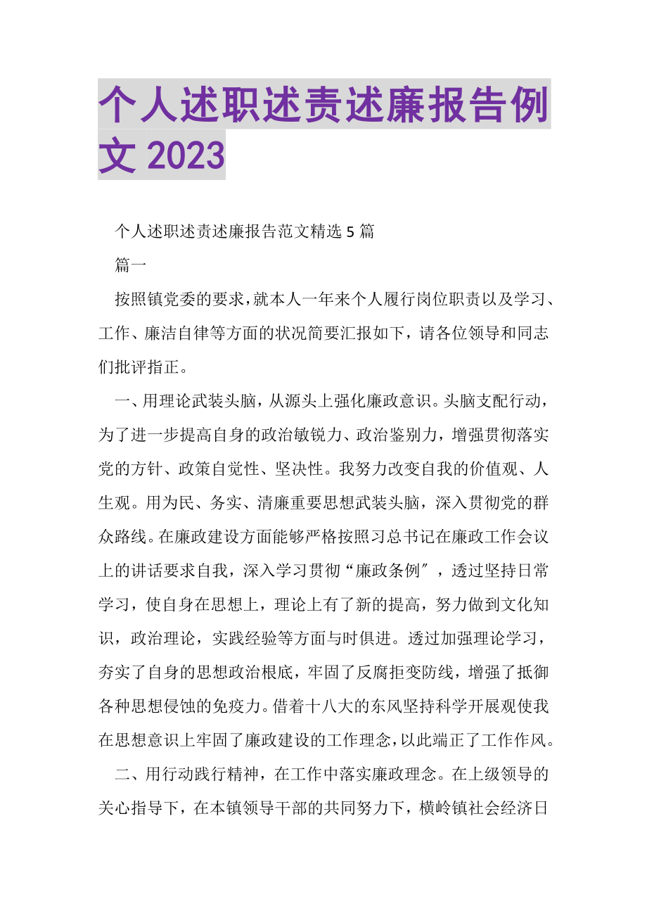 2023年个人述职述责述廉报告例文.doc_第1页