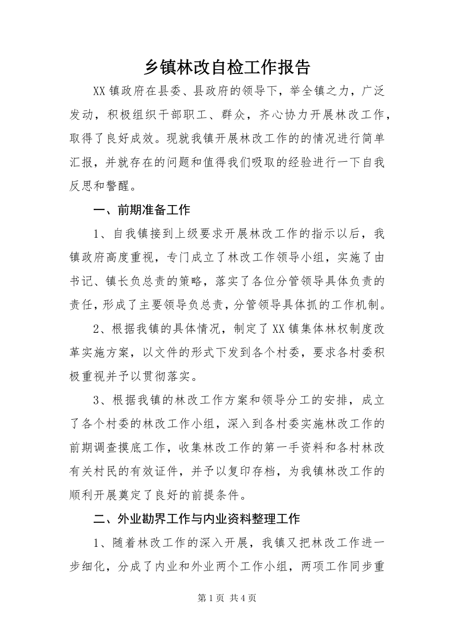 2023年乡镇林改自检工作报告.docx_第1页