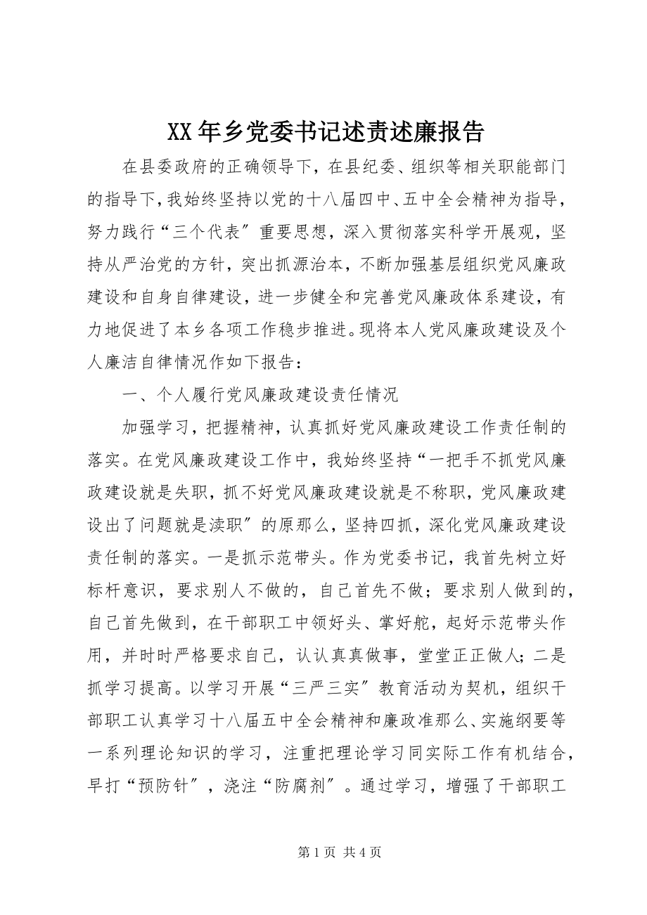 2023年乡党委书记述责述廉报告2.docx_第1页