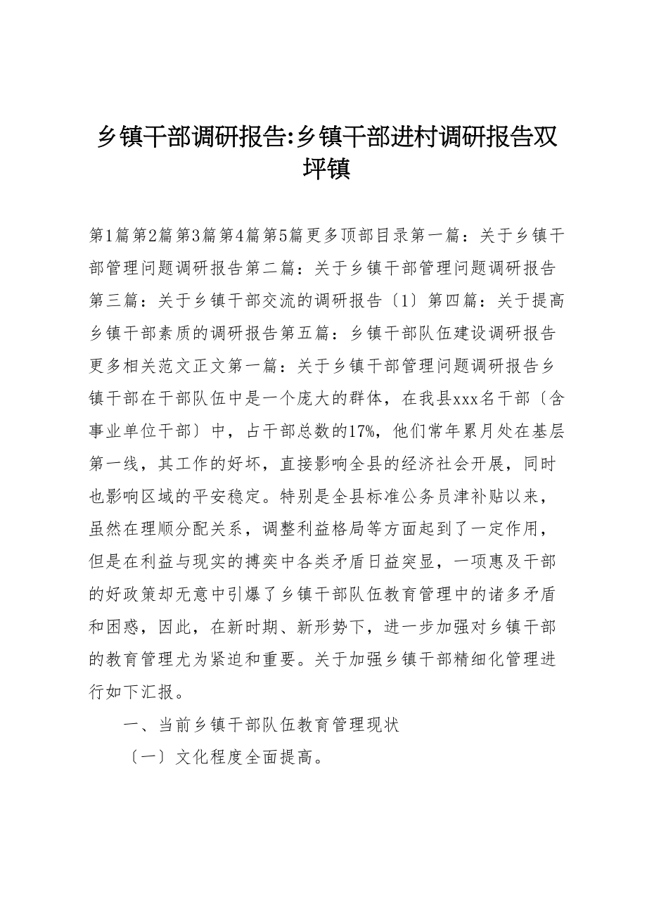 2023年乡镇干部调研报告乡镇干部进村调研报告双坪镇.doc_第1页