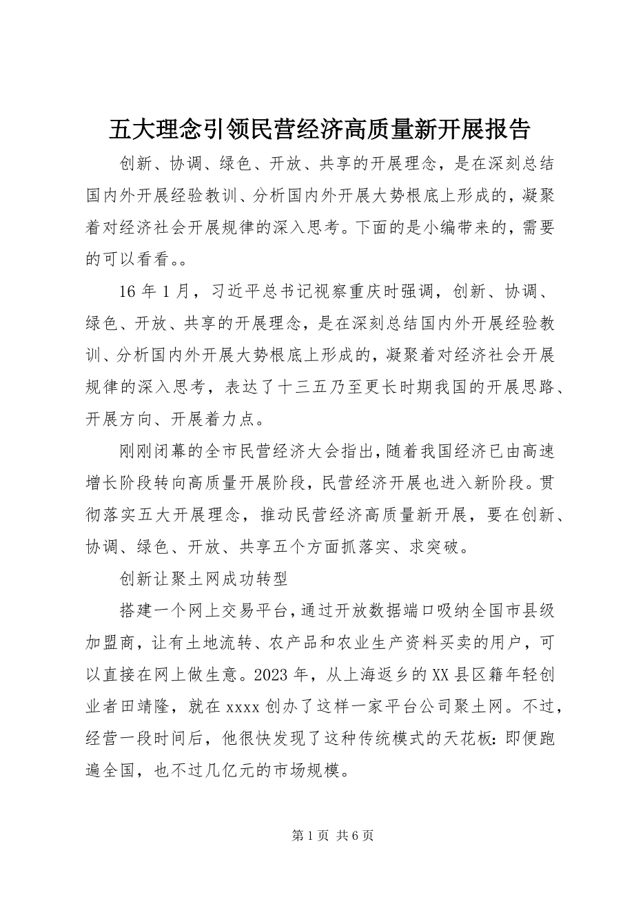 2023年五大理念引领民营经济高质量新发展报告.docx_第1页