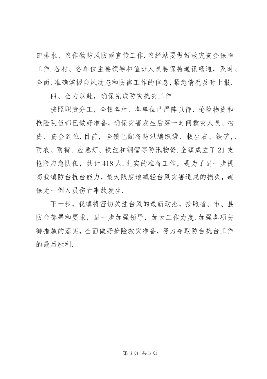 2023年乡镇防汛防台情况总结报告总结报告的及范文.docx_第3页