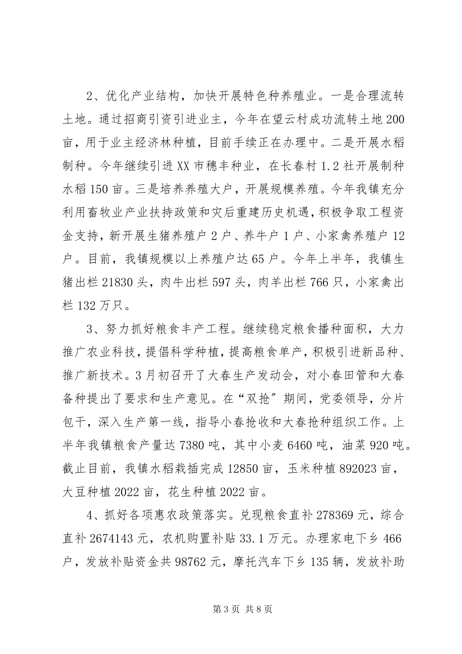 2023年乡镇年中工作报告提纲.docx_第3页